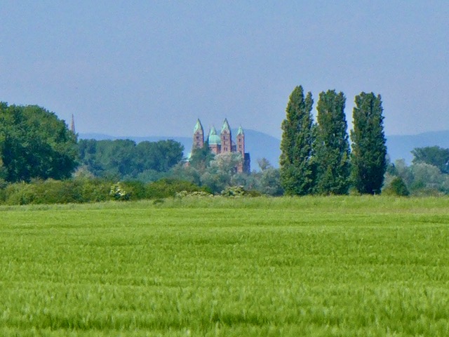 Domblick