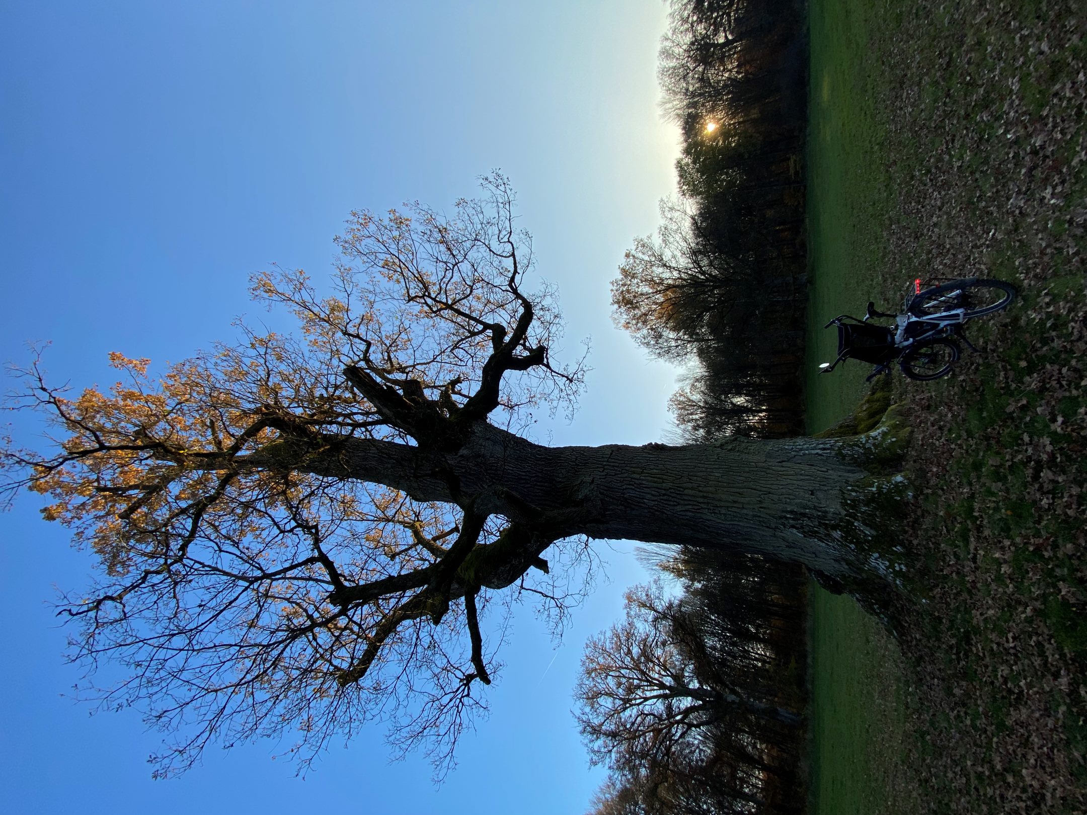 - Challenge Bild 48