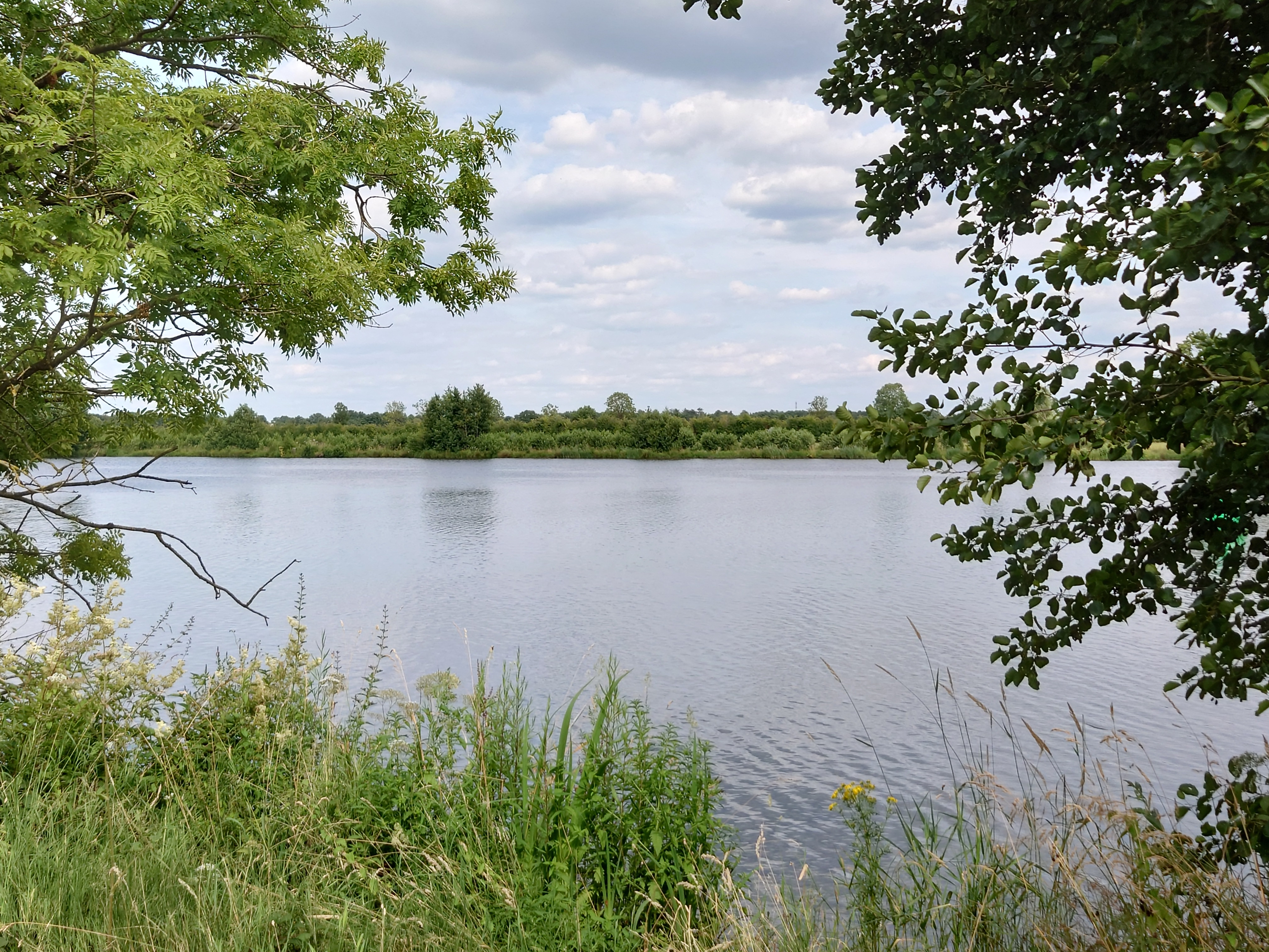 Blick auf die Maas