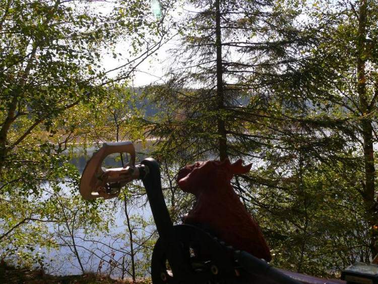 Unser Pino-Elch am Eupener Stausee