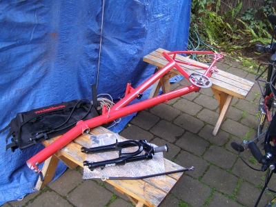 Der neue, noch nackte Rahmen.