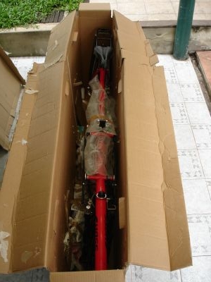 Von oben ohne das &amp;quot;störrende&amp;quot; Stopfmaterial.