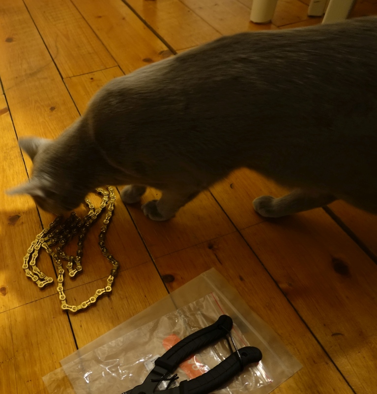 Die Ketten wurden vor dem Wachsen noch professionell inspiziert