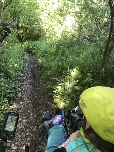Trail 2.jpg