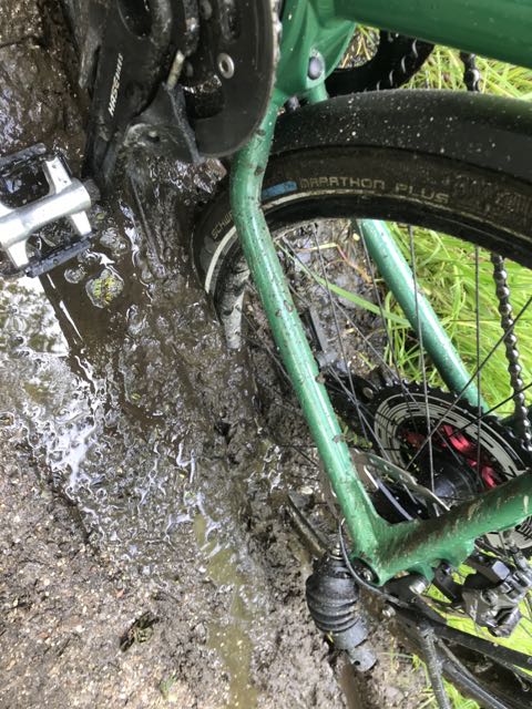 Trail 1.jpg
