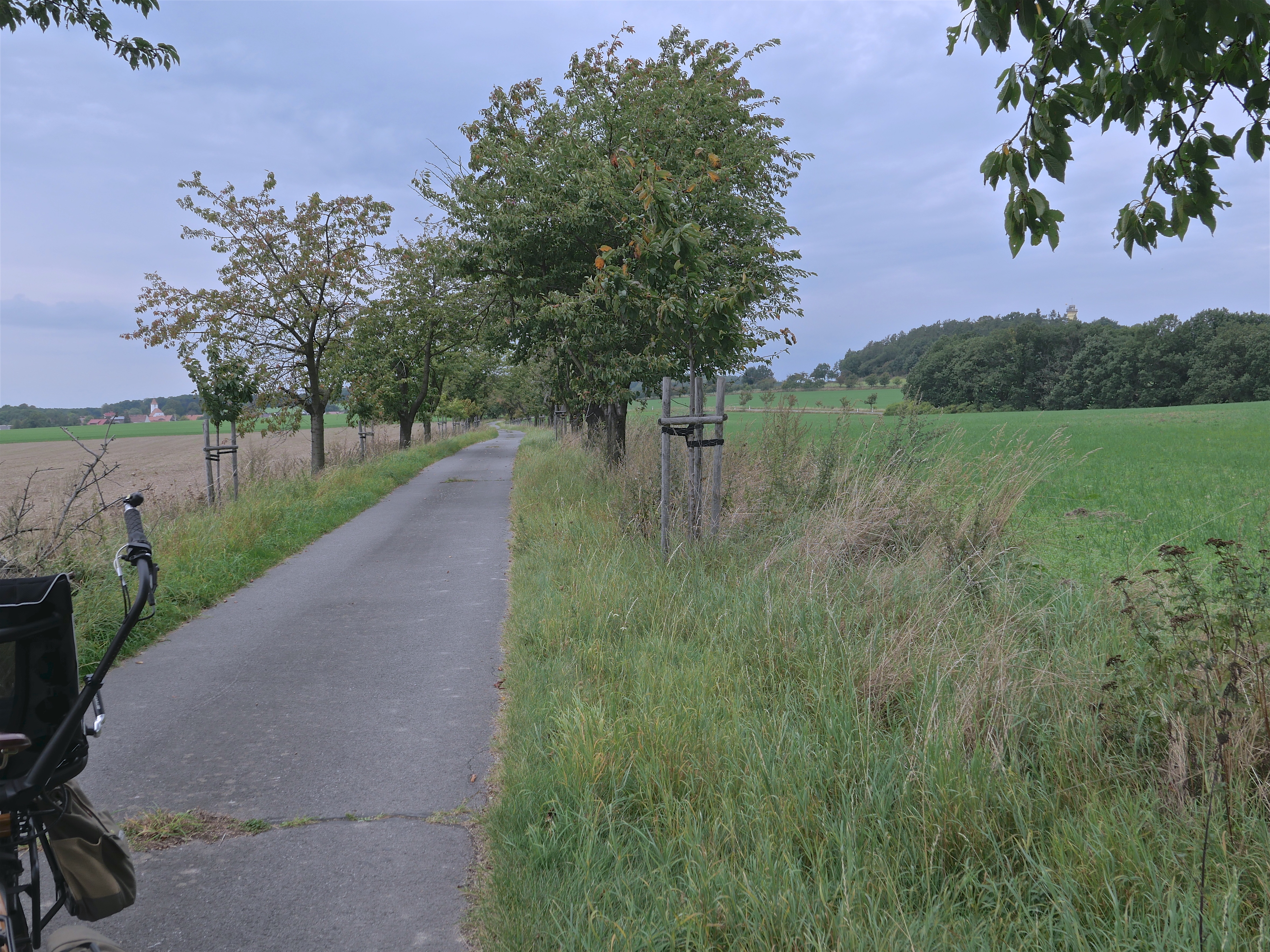 Kirschenweg-beim-Monumentenberg