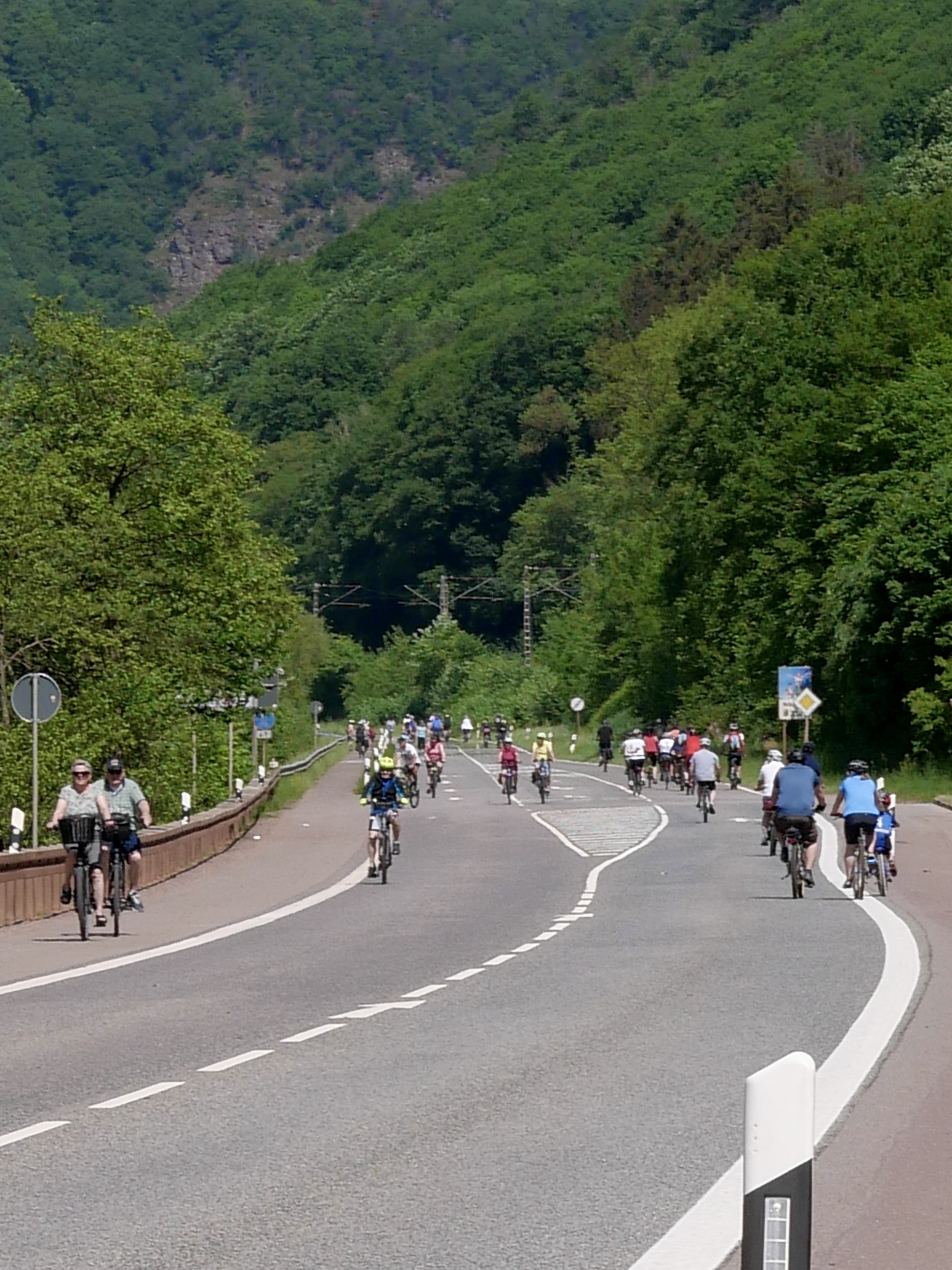 entlang des Weges.JPG