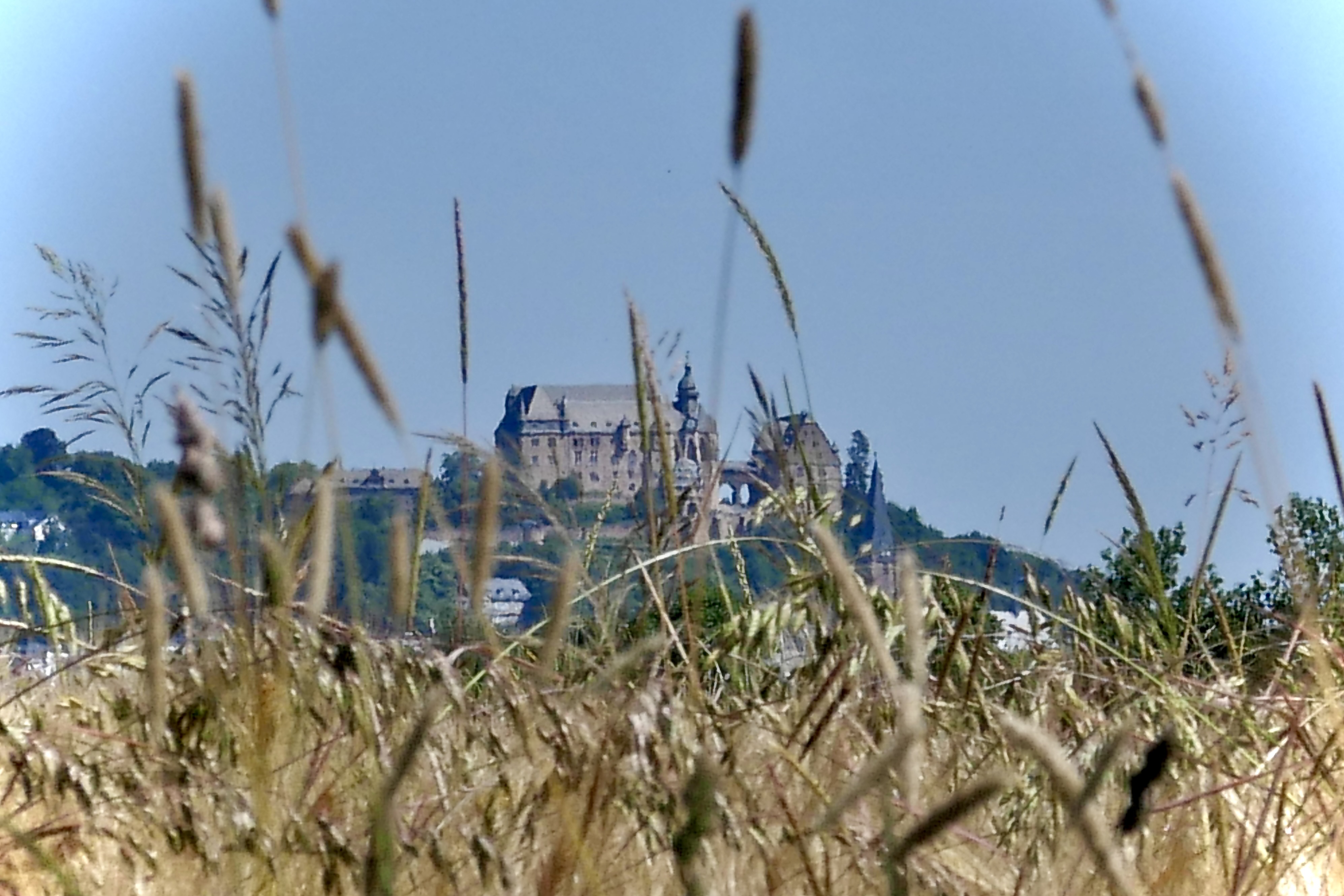 Marburger Schloss von Süden aus