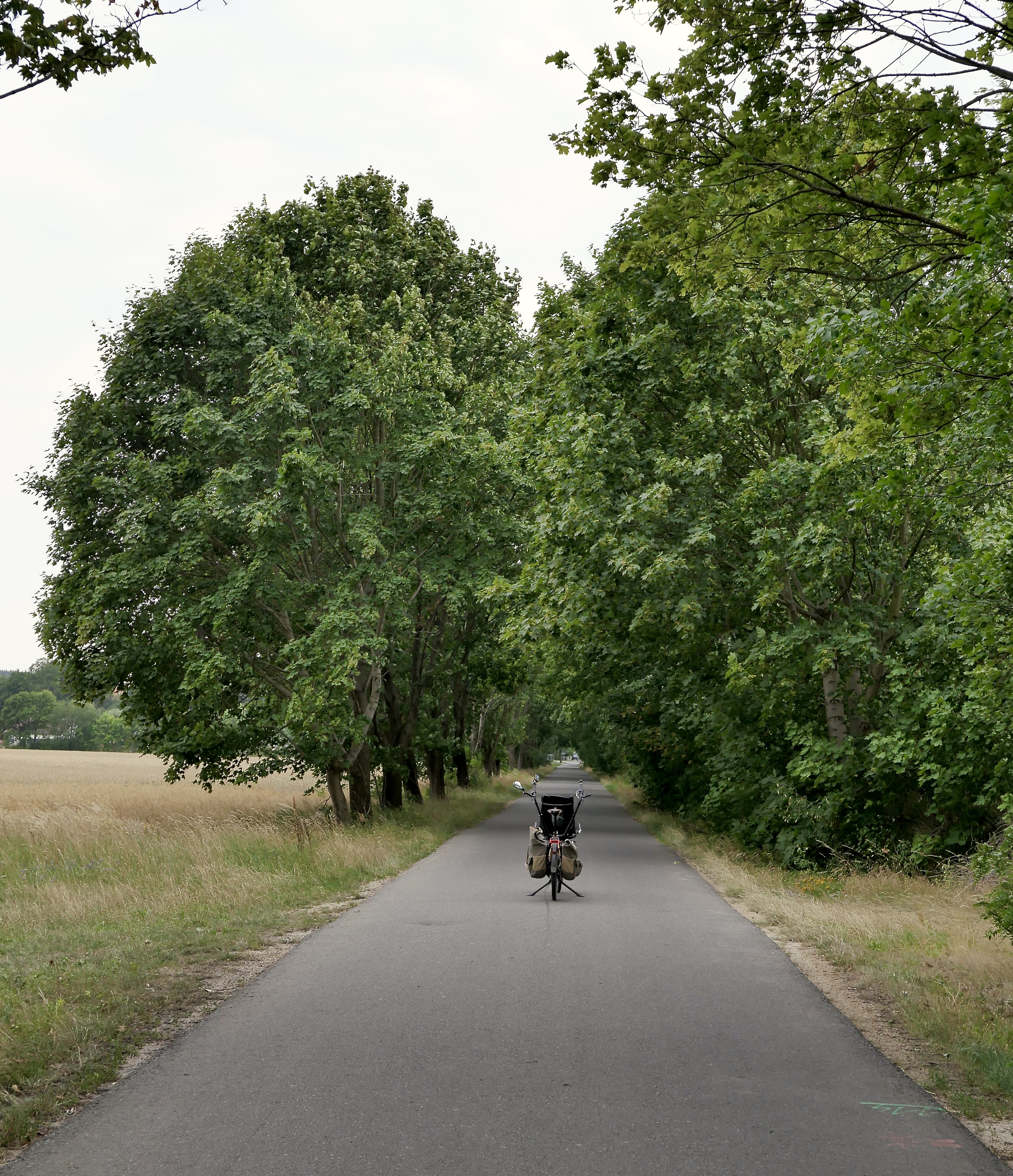 wie so oft in diesen Tagen: allein auf weiter Flur