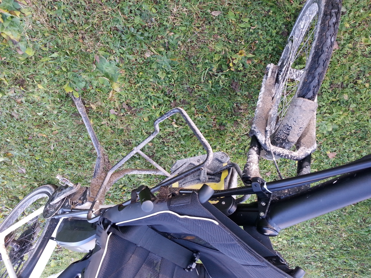 Licht in der Dämmerung