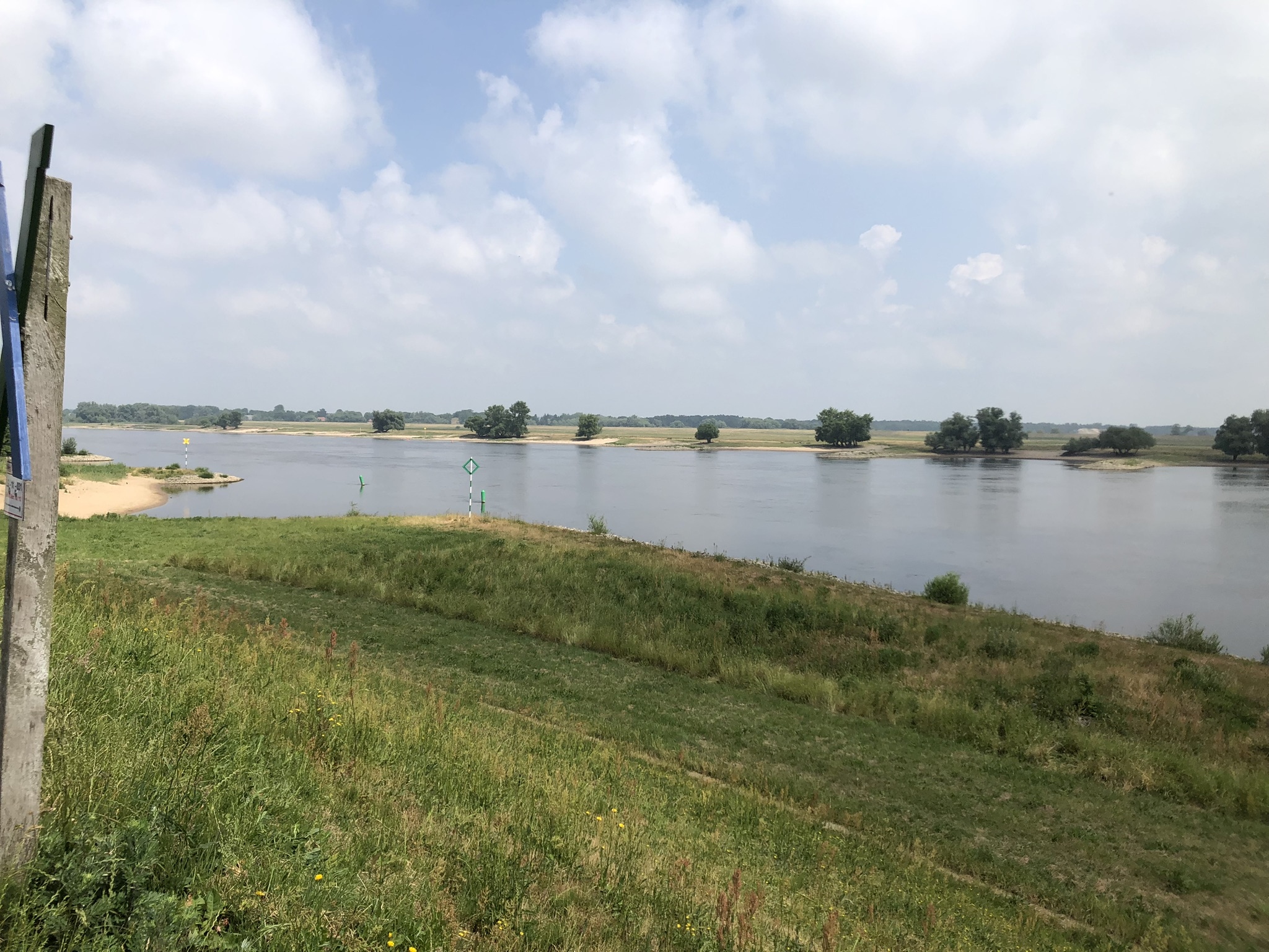 Blick auf die Elbe bei Bleckede