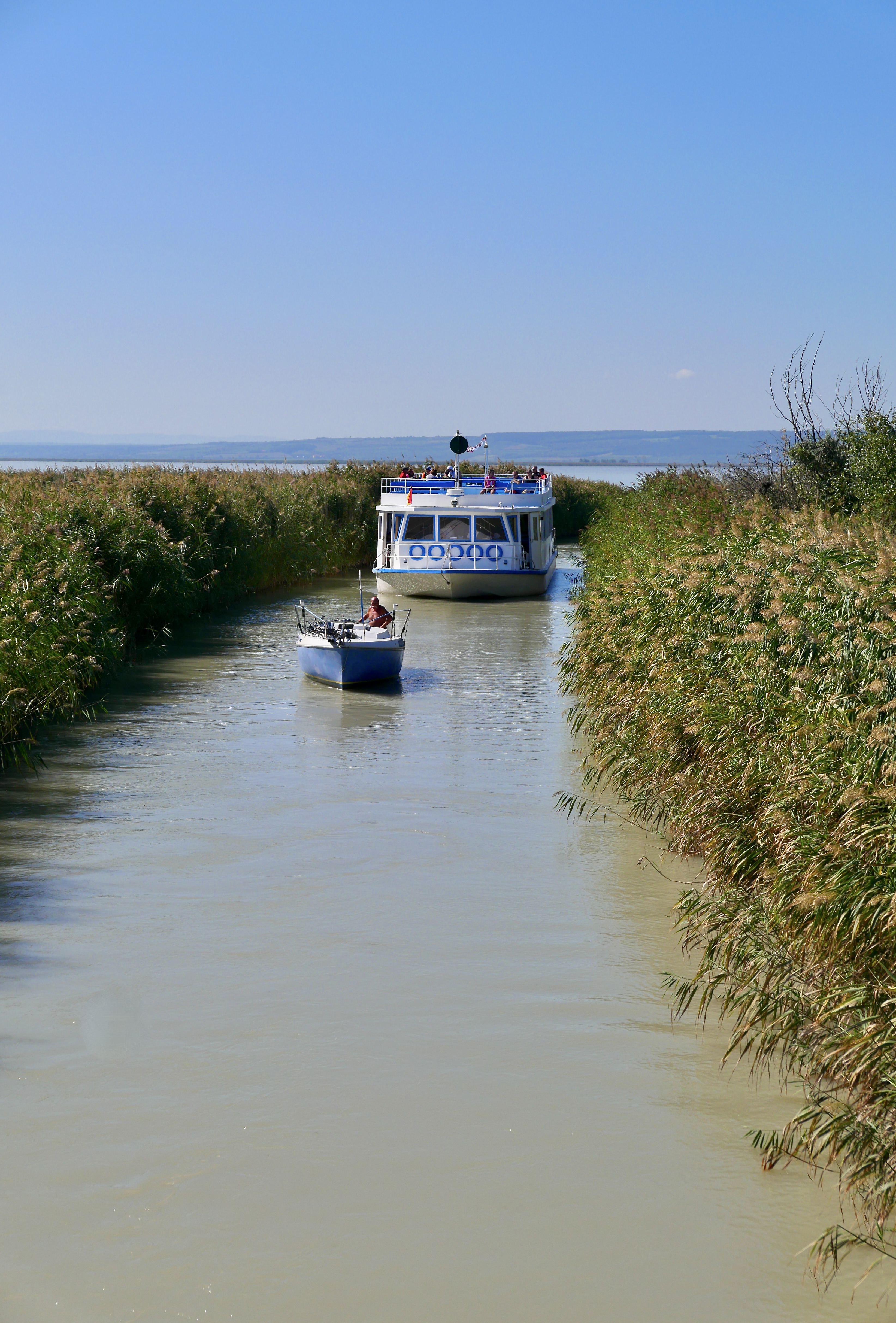 Klein und Groß - alle in einer Reihe