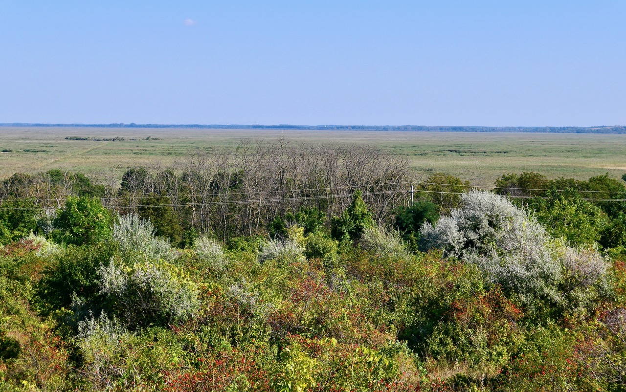 Blick über den Schilfgürtel