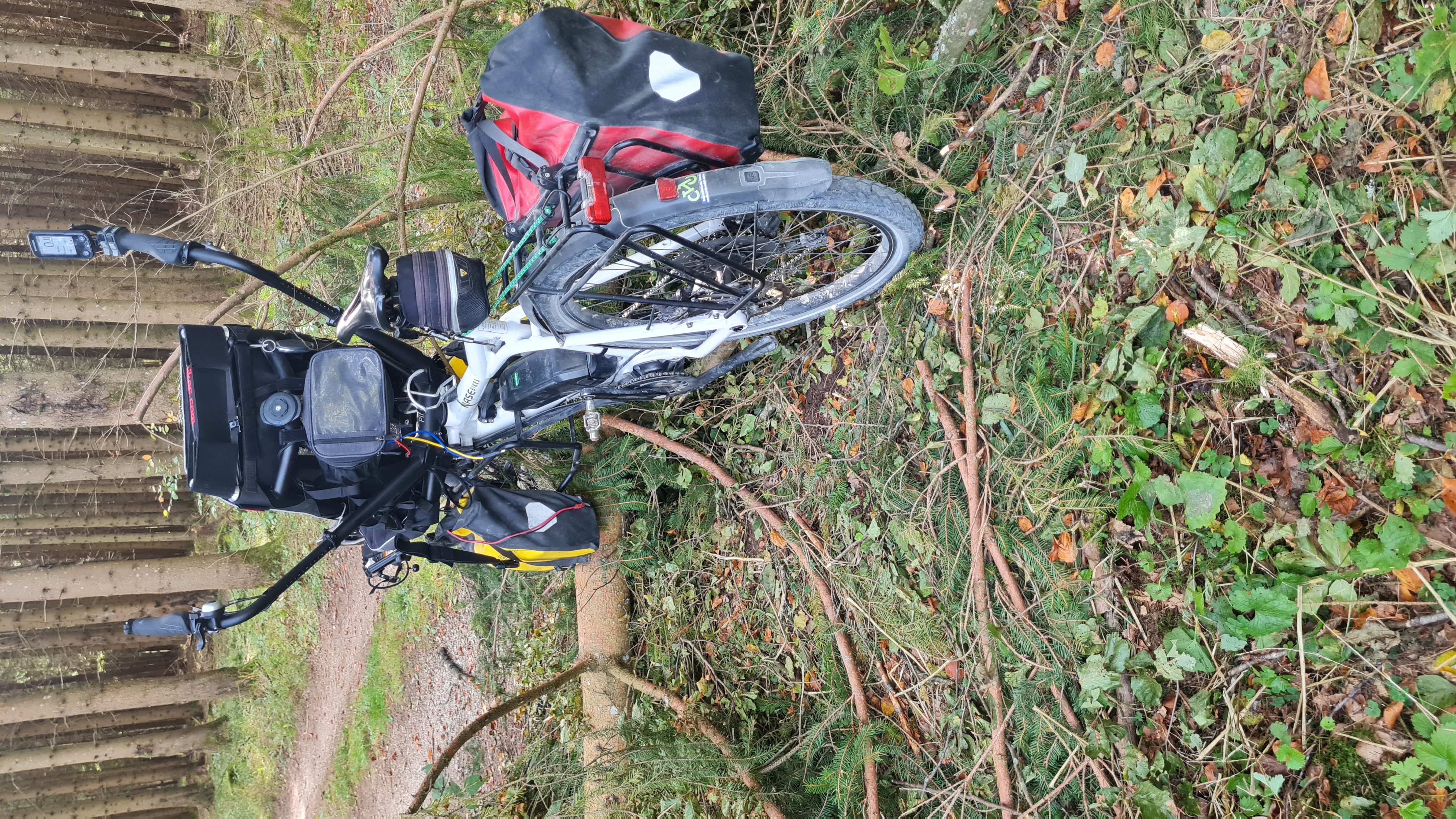 Die beiden Lowrider halten auf dem Baum das Pino gerade :-)