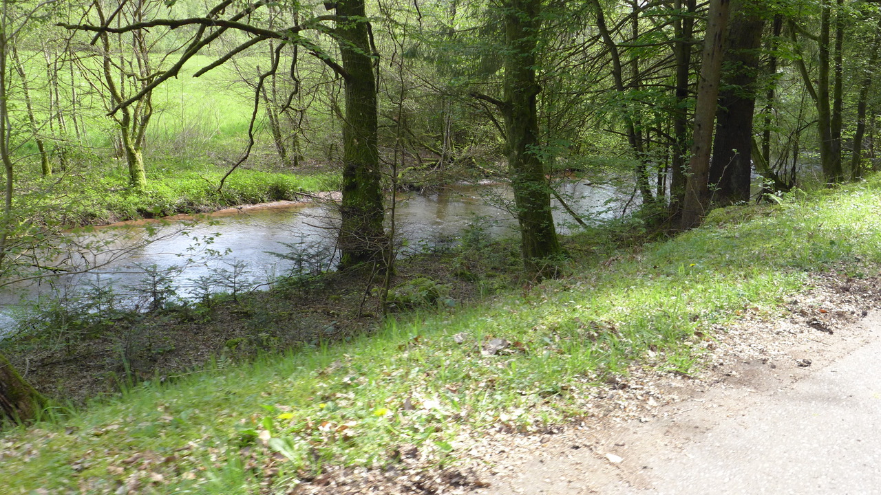 ein Blick auf die Wieslauter