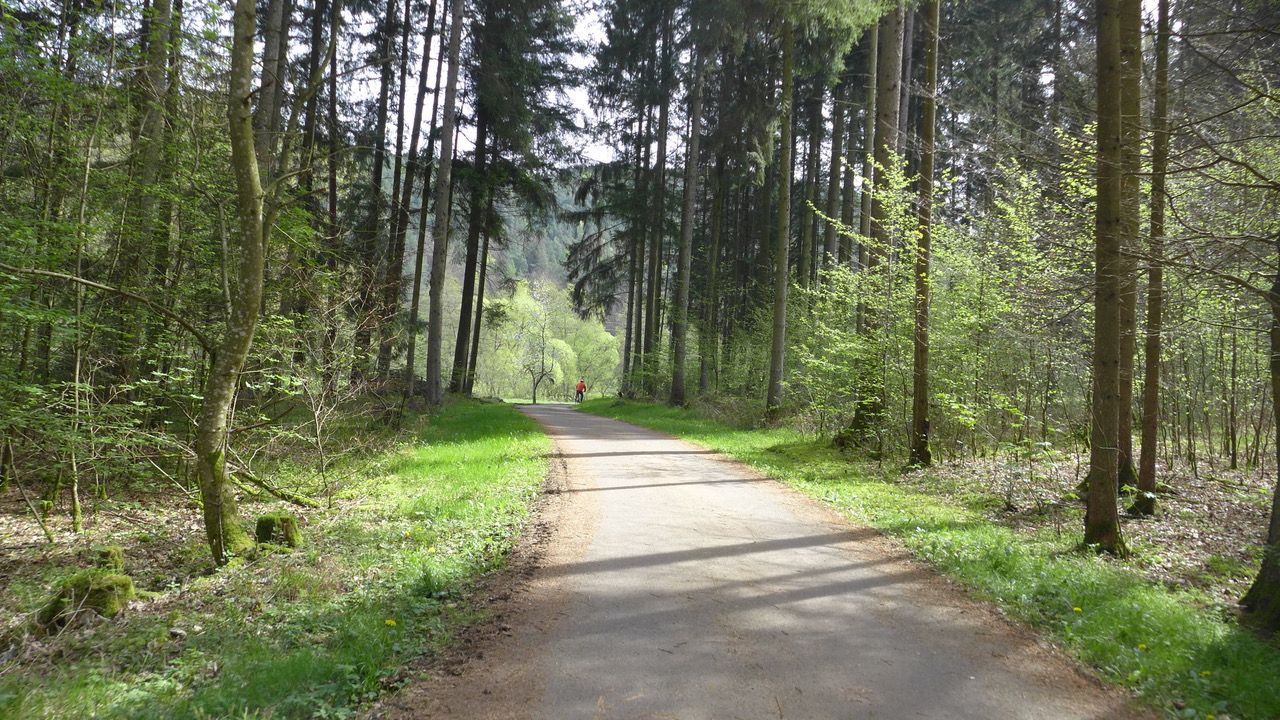 mal mehr, mal weniger Wald