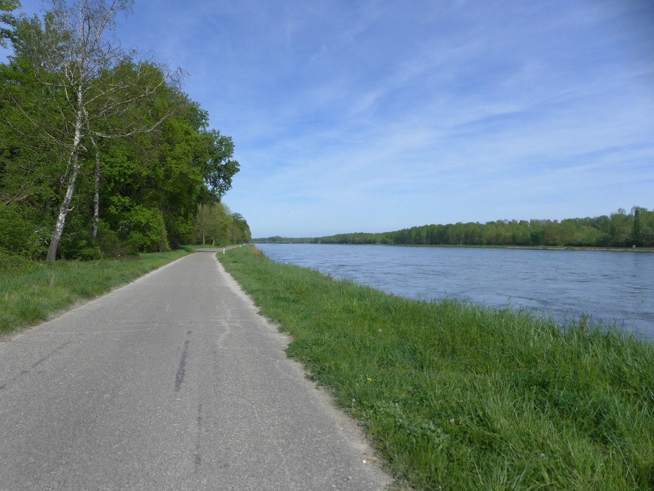 so schön am Rhein entlang zu radeln