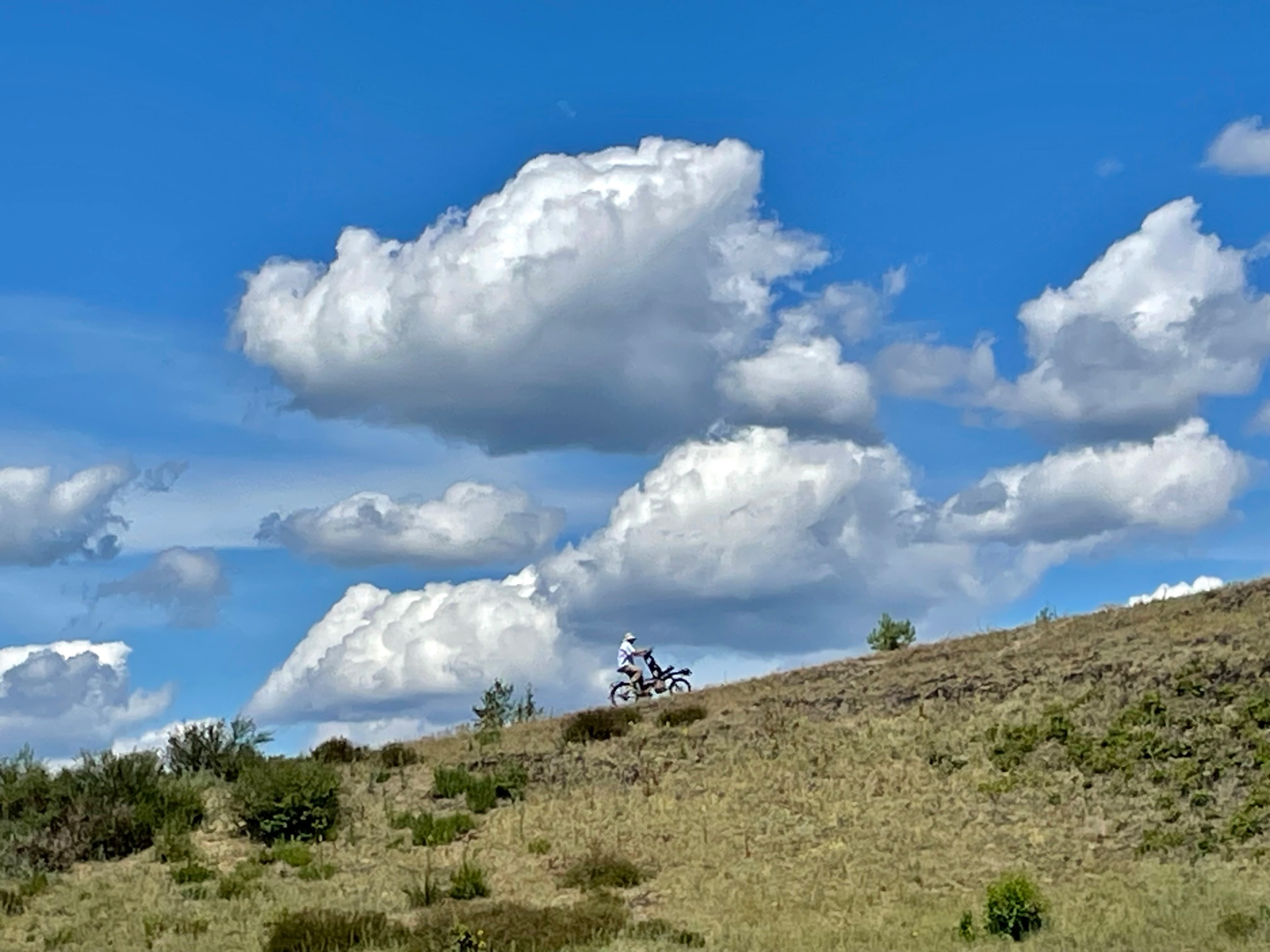 auf dem Weg nach oben ...