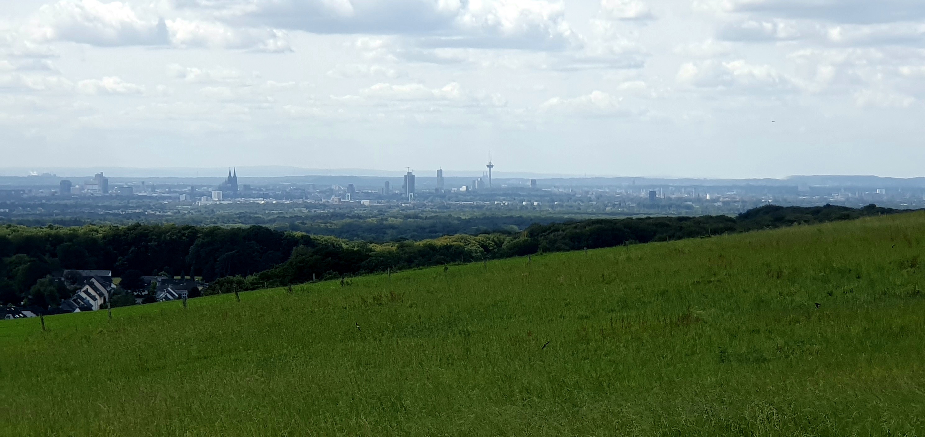 Blick auf die Kölner Bucht
