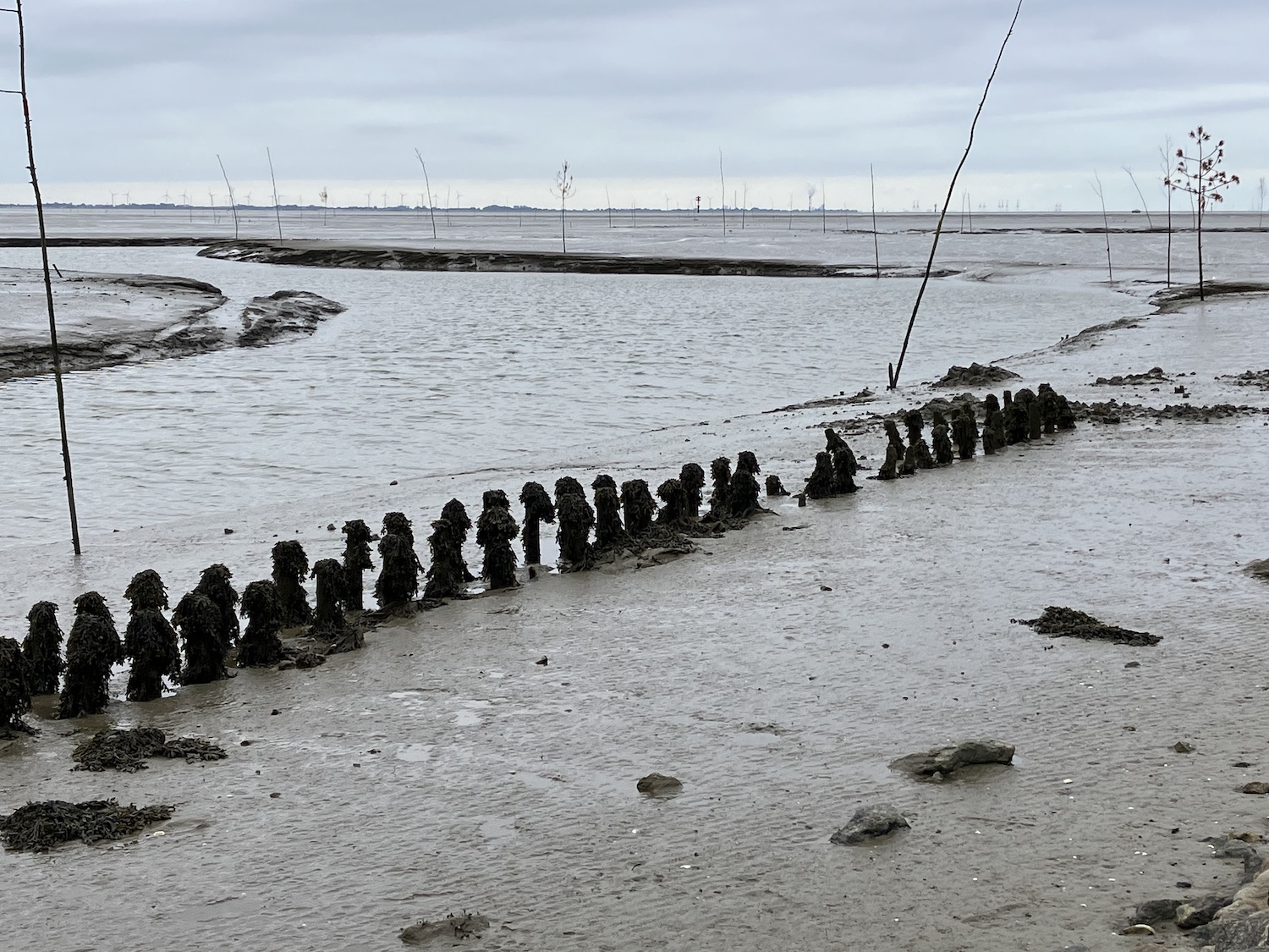 Bedeckter Himmel, Blick aufs Watt