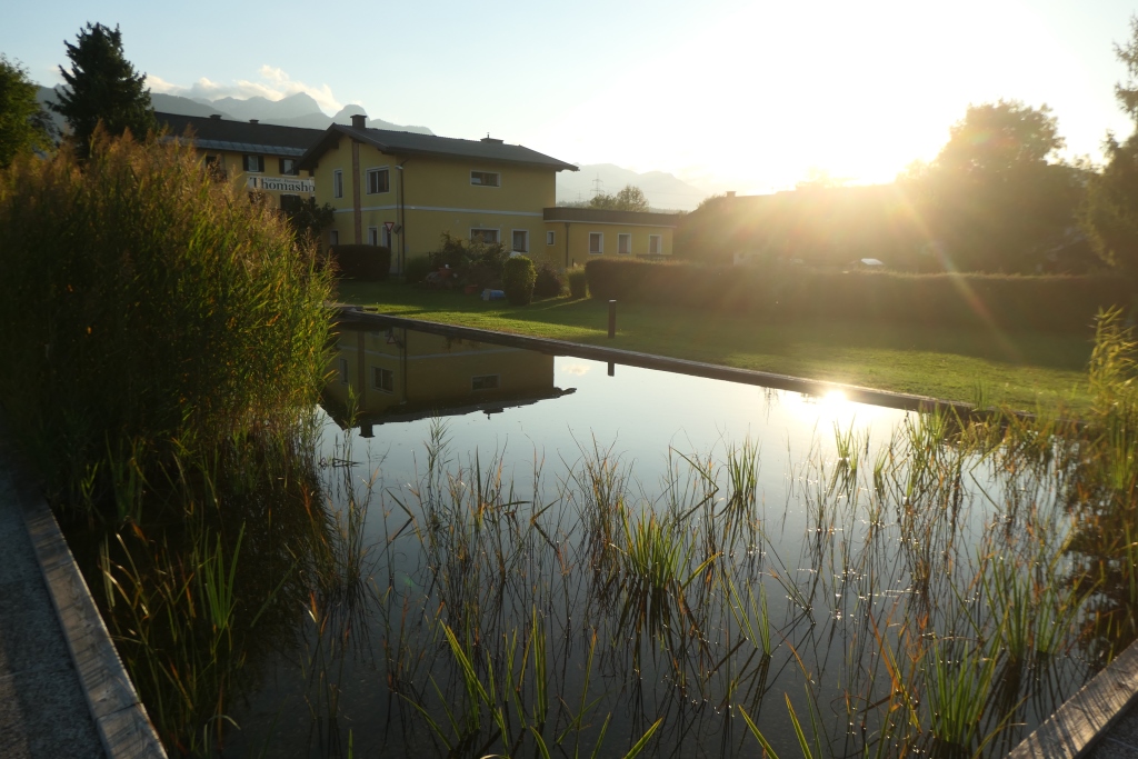 Naturteich der Unterkunft in Mühlbach zum Baden (eiskaltes Wasser :-) )