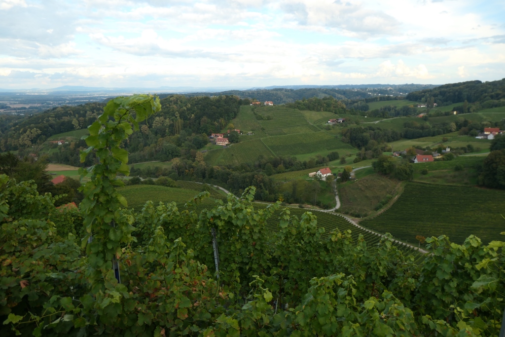 Weinberge wie zu Hause in "the Länd"