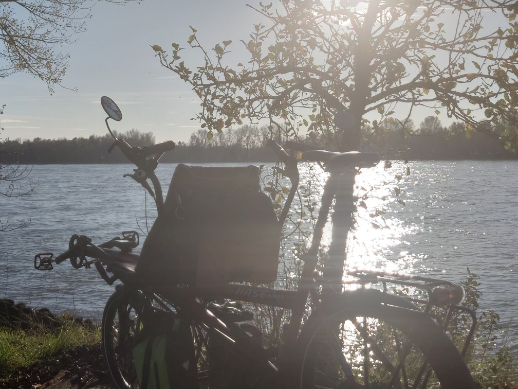 Eine unserer Lieblingsstellen am Rhein - Challenge Bild 10