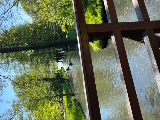 Paddler auf der Spree
