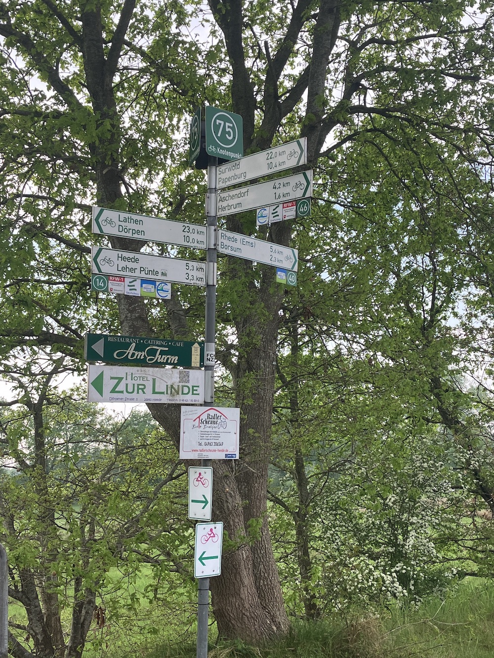 Kuchen gibt's eigentlich überall