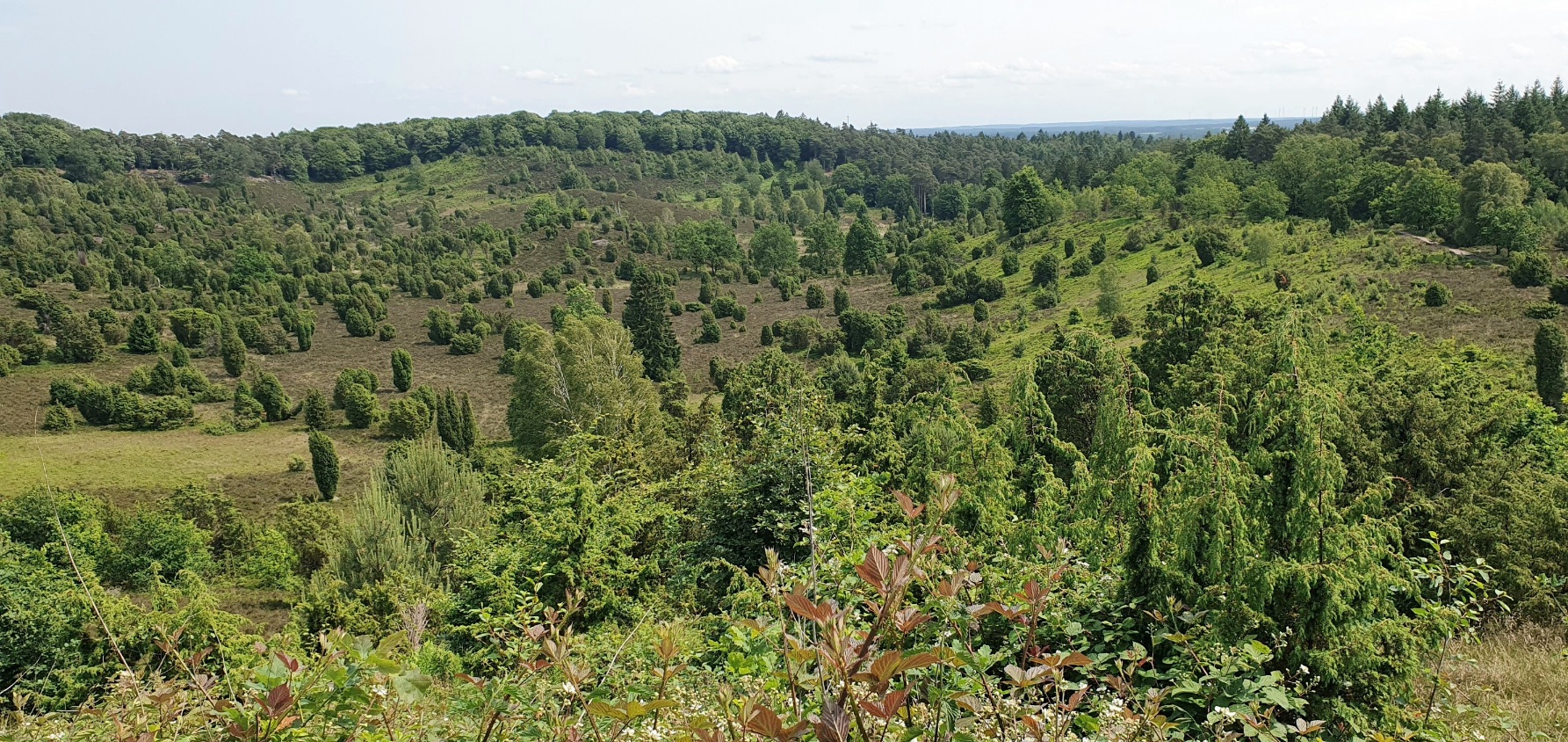 Wilseder Totengrund