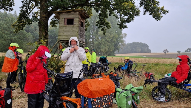 Pino 10 25 - 12.jpeg