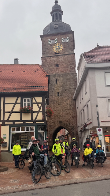 Pino 10 25 - 10.jpeg