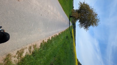 IMG-20260426-WA0028.jpeg