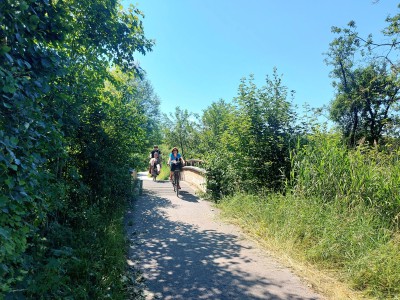 signal-2026-06-20-20-30-19-135-7.jpg