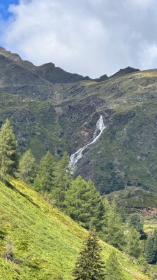 IMG_6843.jpeg