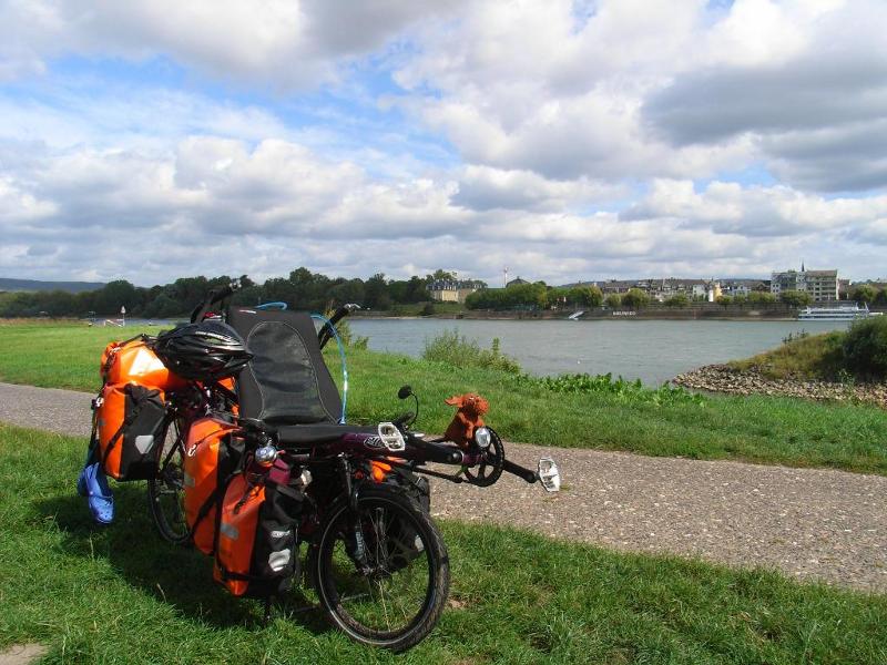 Unser Pino schwer bepackt am Rhein