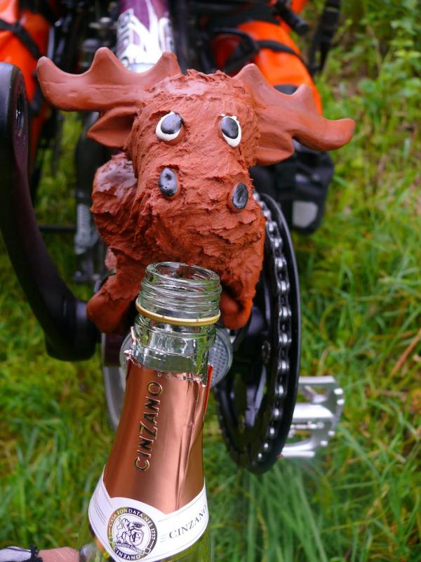 Kilometer 1000 - das muss gefeiert werden! Natürlich bekommt auch unser Elch einen Schluck!