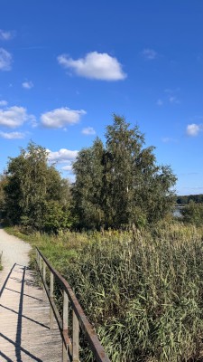IMG_7373.jpeg