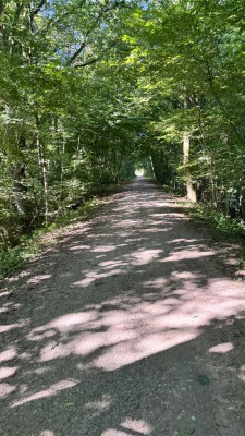 IMG_7500.jpeg