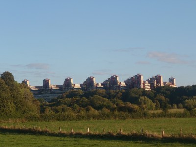 20260910_184251.JPG