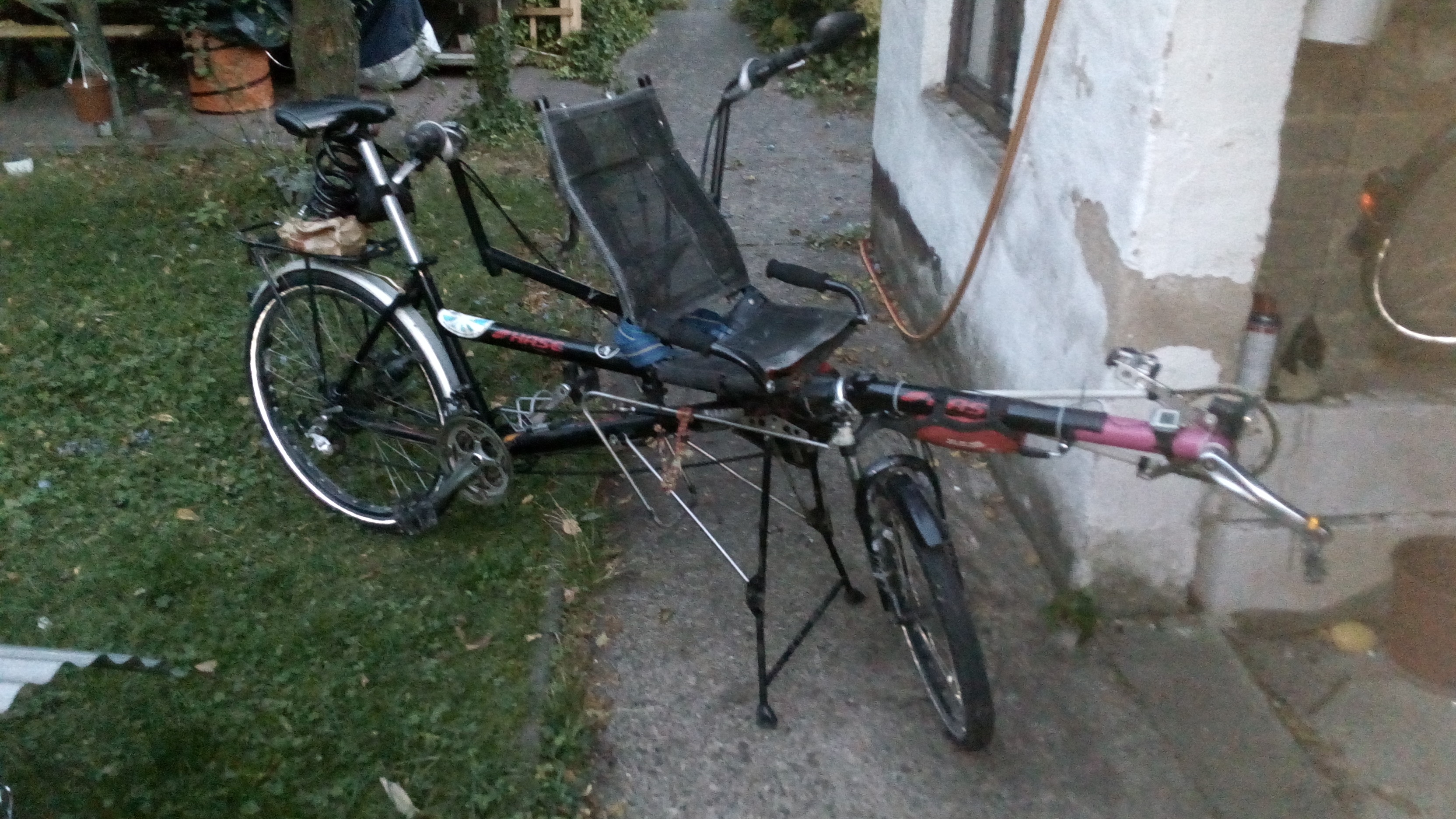 Pino_20180912_195741.jpg