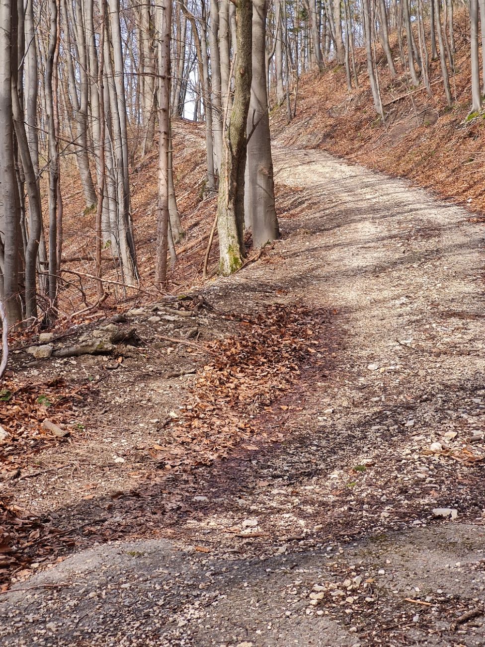 20230328_160437[1].jpg