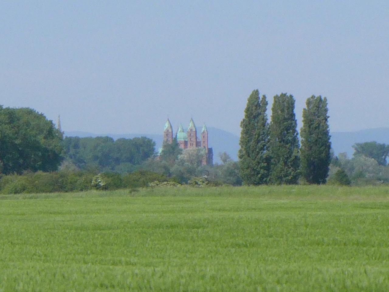 P1350885.jpeg