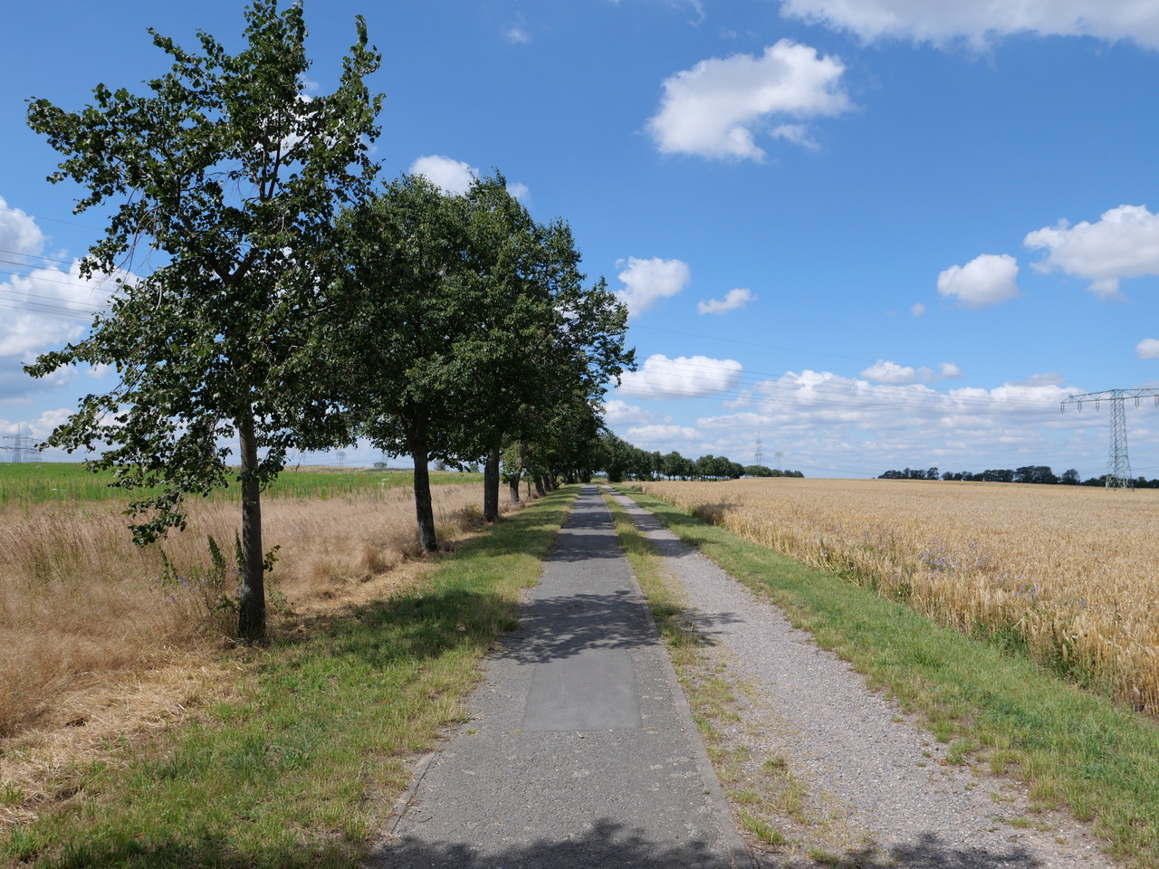 07-Radweg-zur-Elbe.jpeg