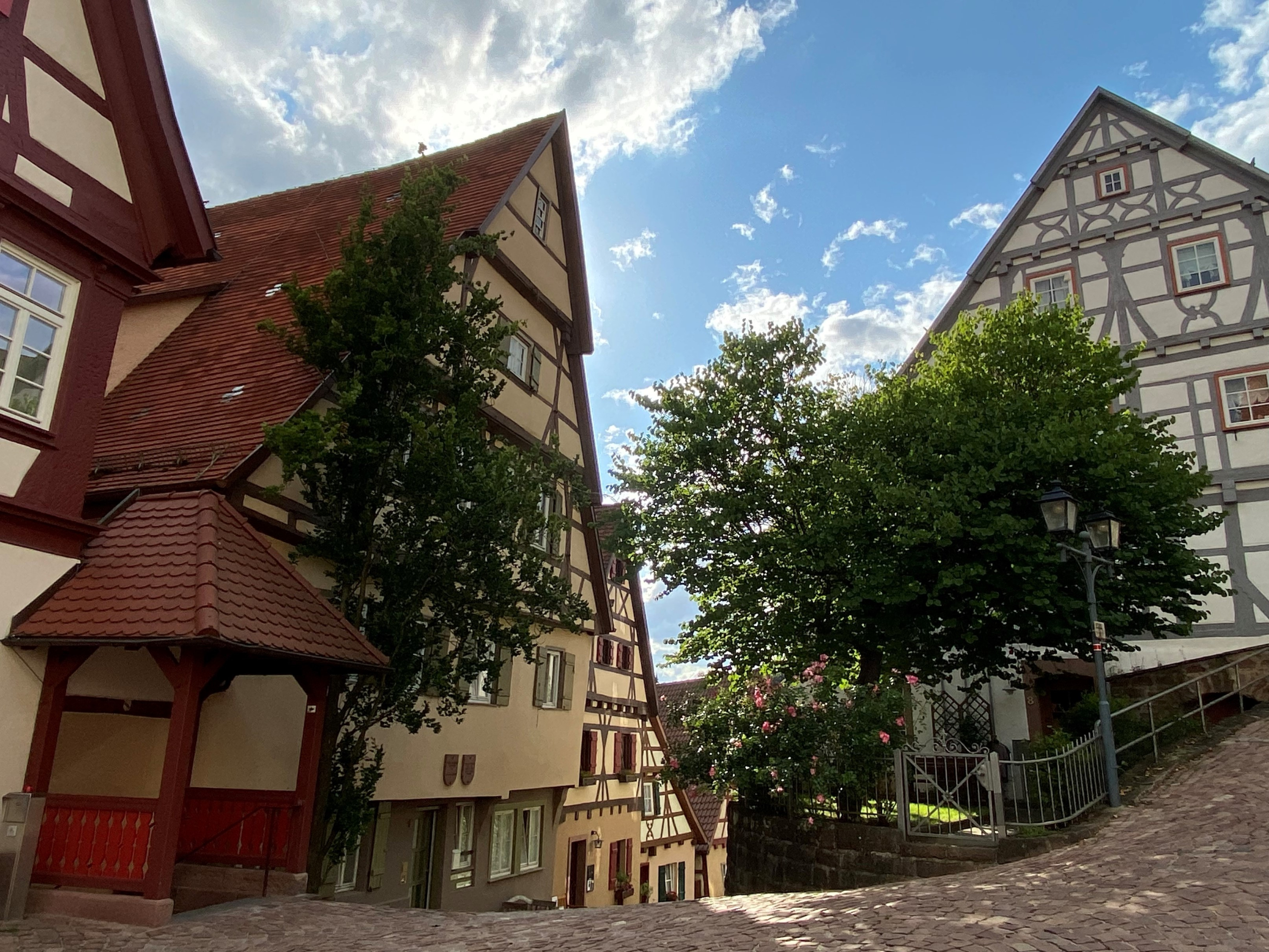 Bild6_1.jpg