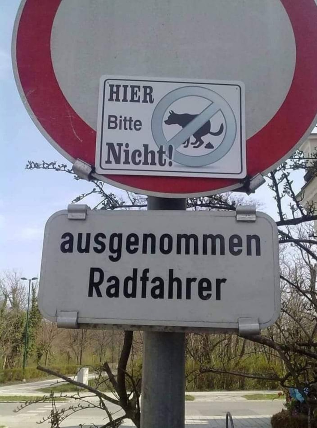 123.jpg