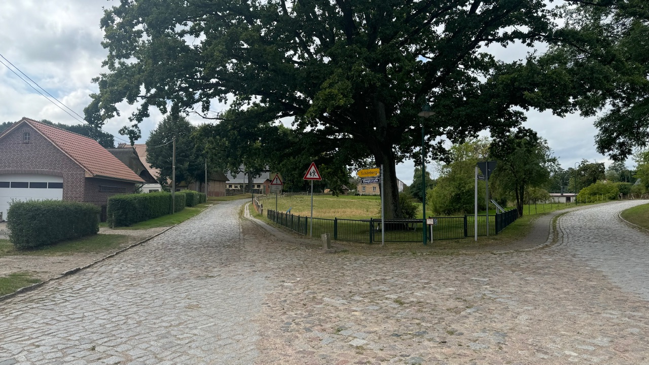 IMG_4768.jpeg