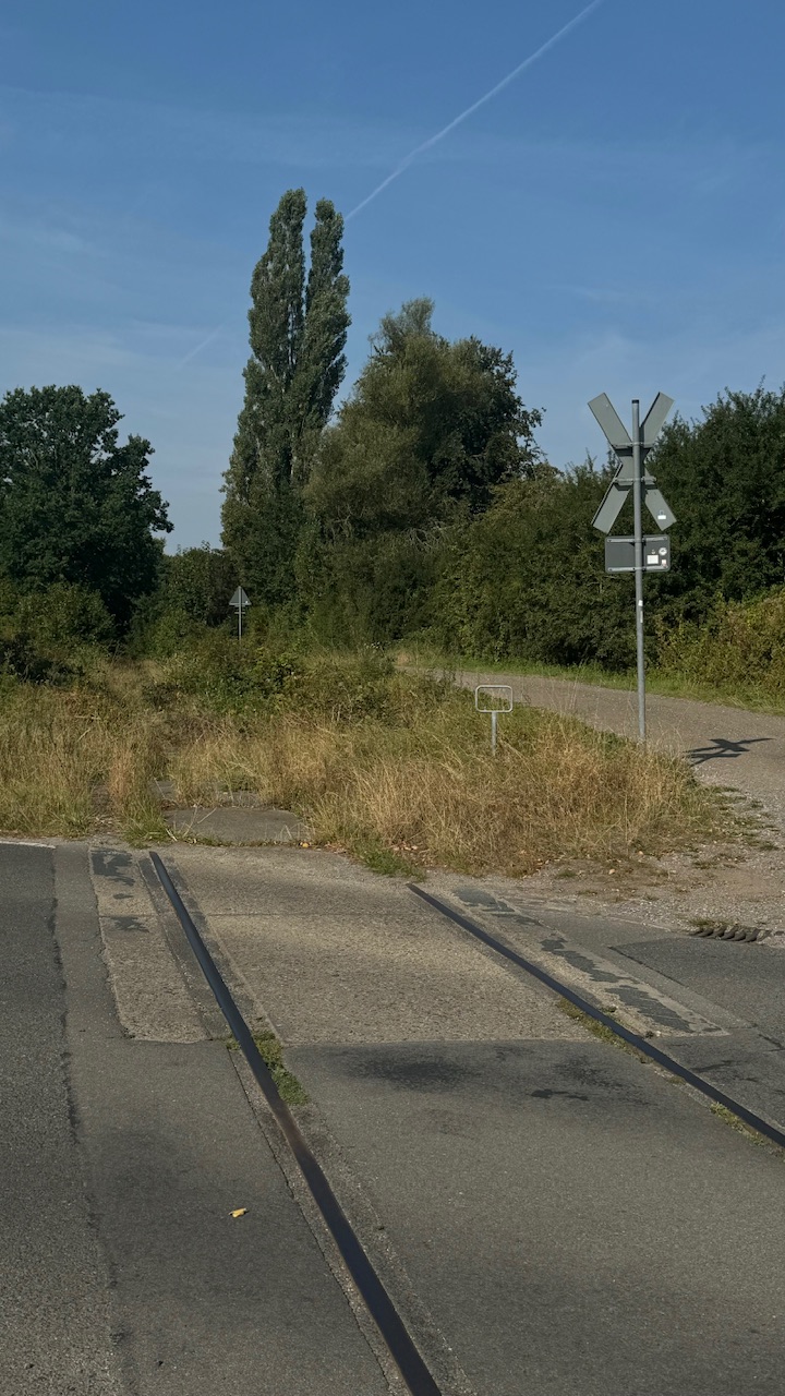 IMG_5072.jpeg