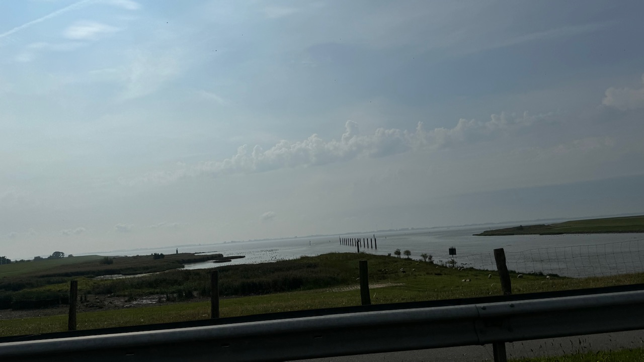 IMG_5155.jpeg