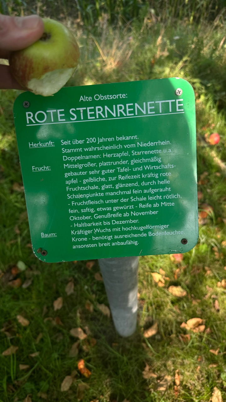 IMG_5079.jpeg
